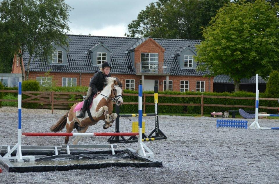 Anden særlig race Hedegaardens Savannah - Vannah&Mig sprang vores første vandgrav det kunne hun godt lide;D<3 billede 18