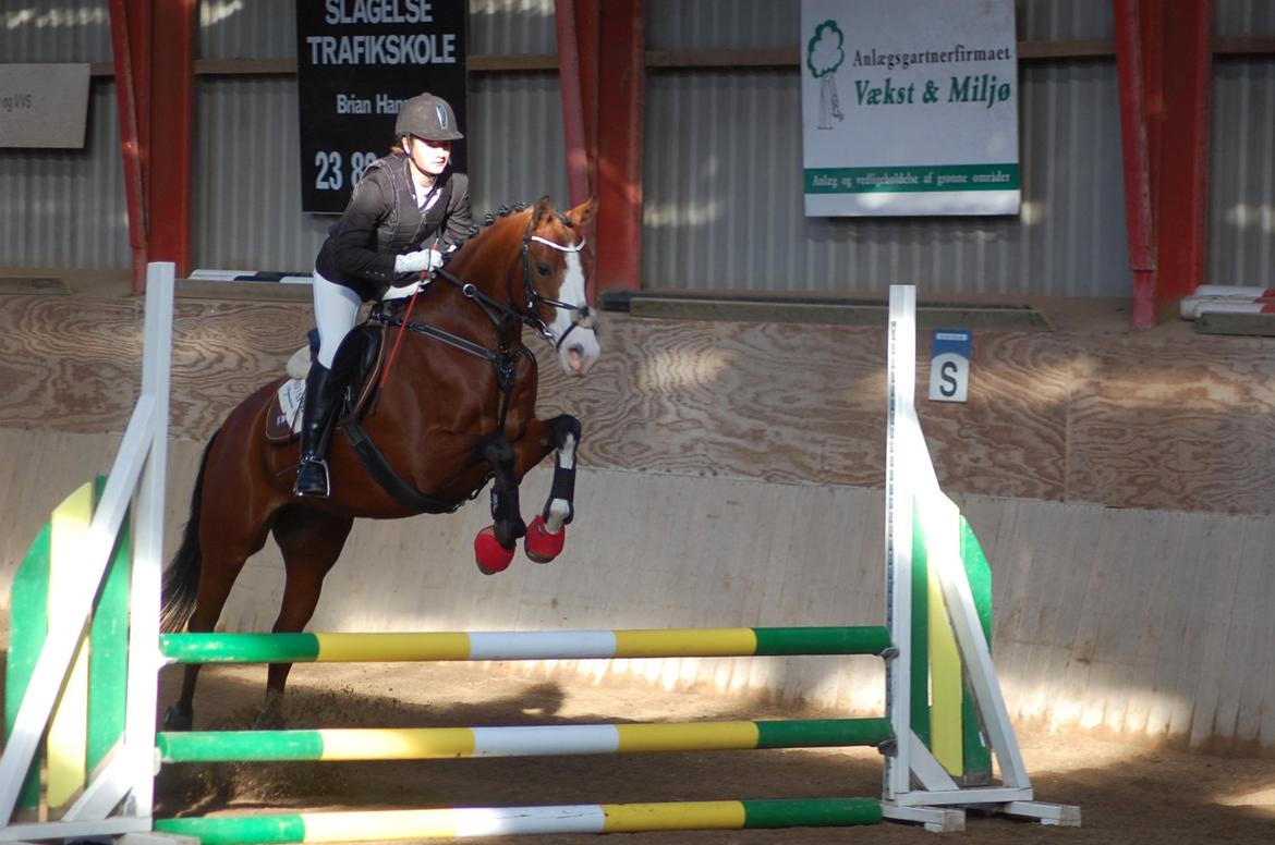 DSP Artemis Stengaard billede 5