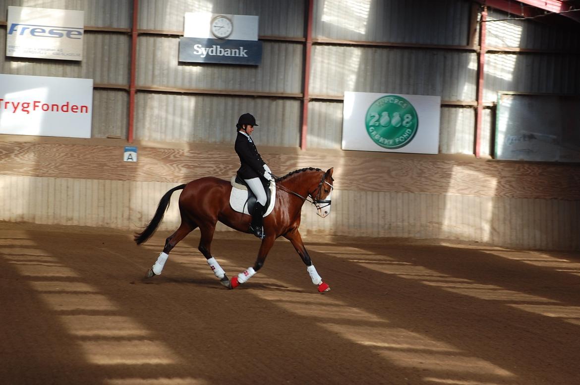 DSP Artemis Stengaard billede 6