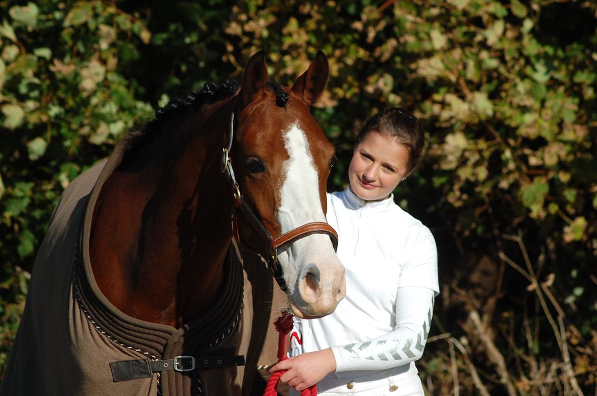 DSP Artemis Stengaard billede 3