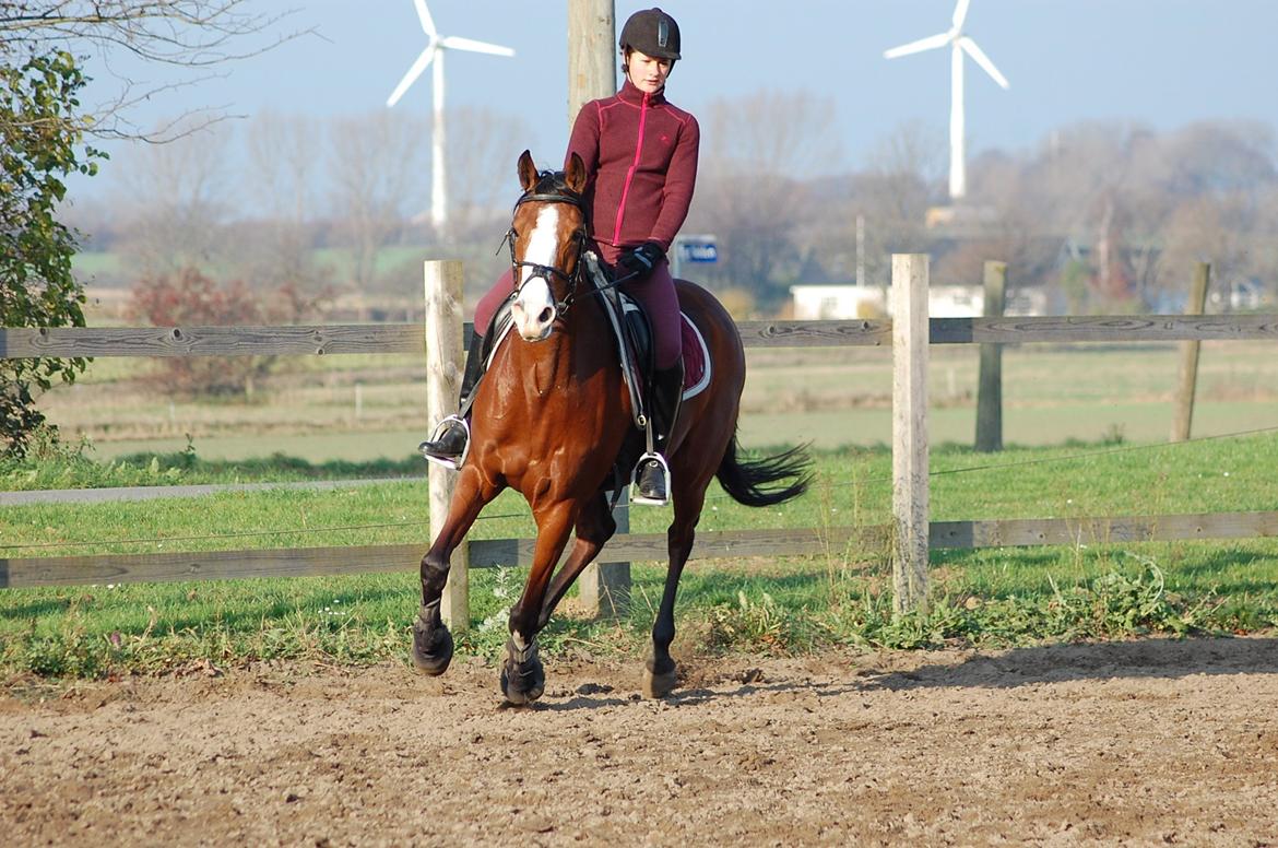 DSP Artemis Stengaard billede 7