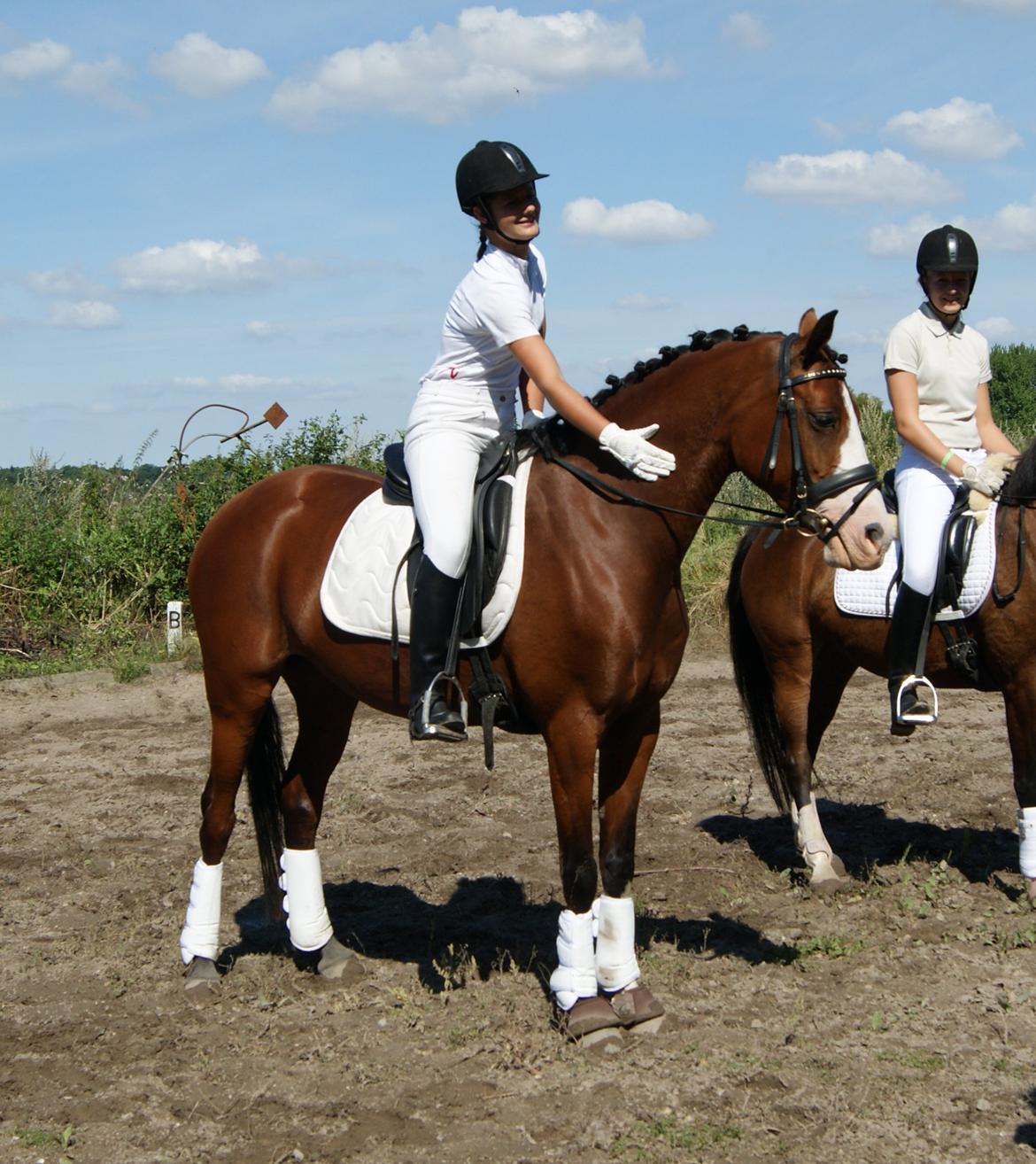 DSP Artemis Stengaard billede 10