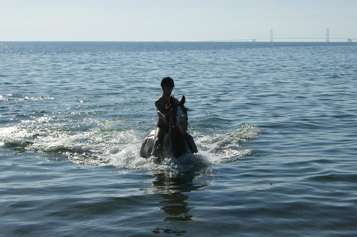 DSP Artemis Stengaard billede 11