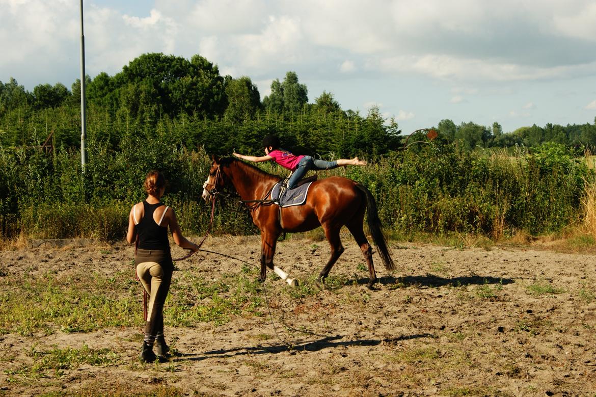 DSP Artemis Stengaard billede 12