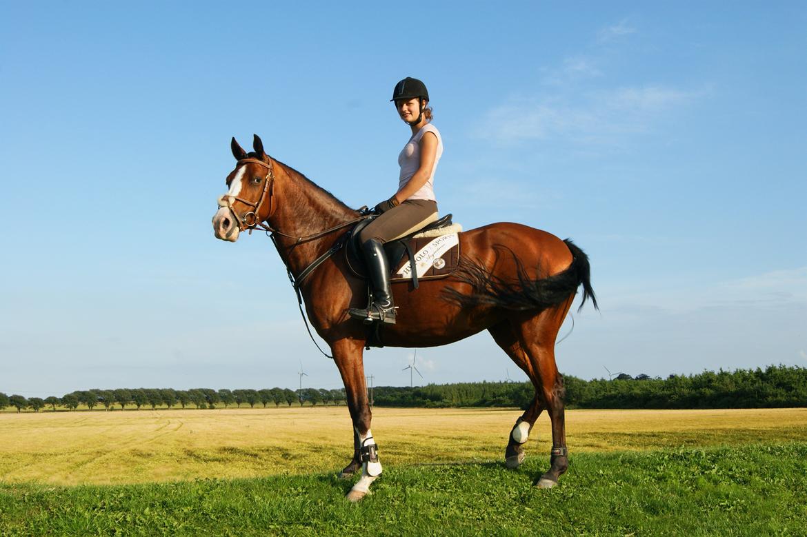 DSP Artemis Stengaard billede 20