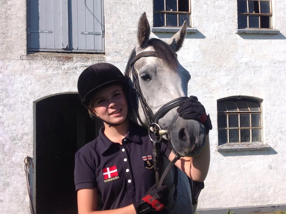 Anden særlig race Milano<3333 billede 2