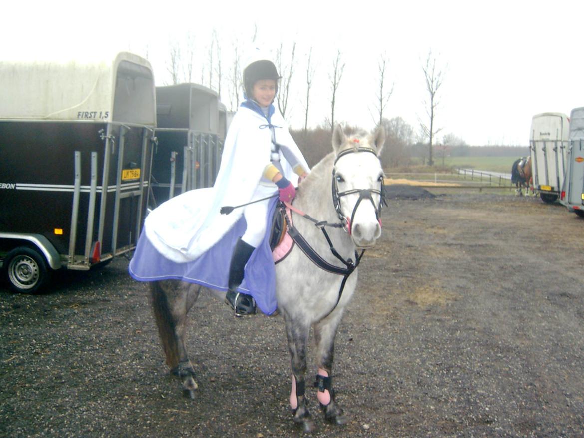 DSP A.J. Moscans Isabell billede 3