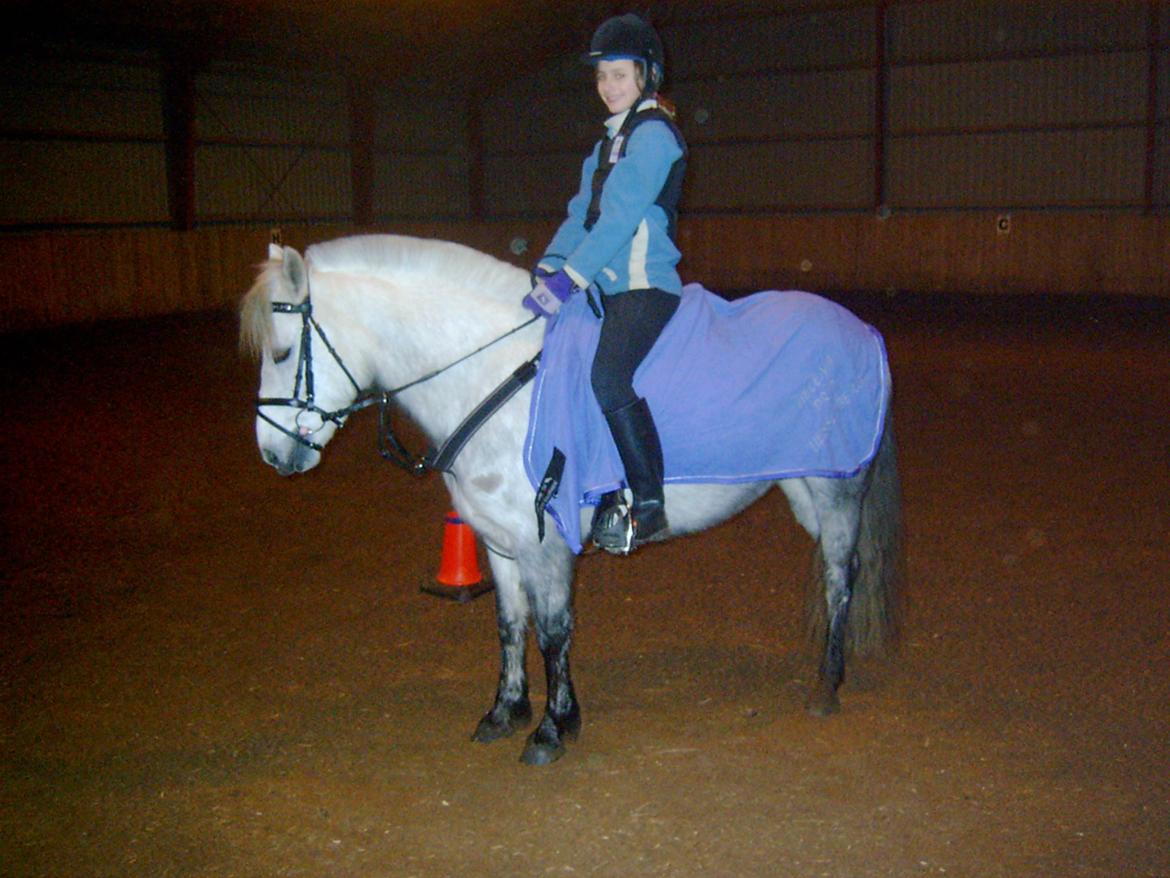 DSP A.J. Moscans Isabell billede 4