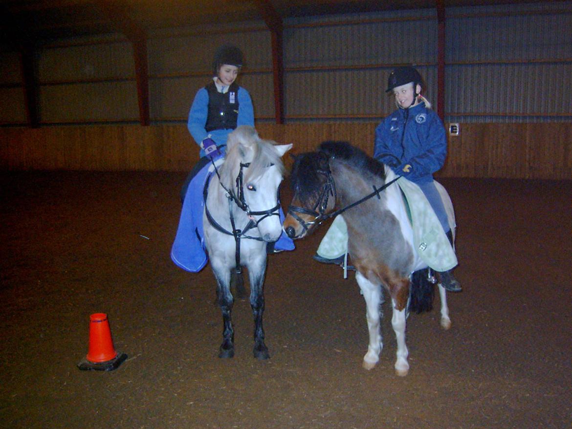 DSP A.J. Moscans Isabell billede 5