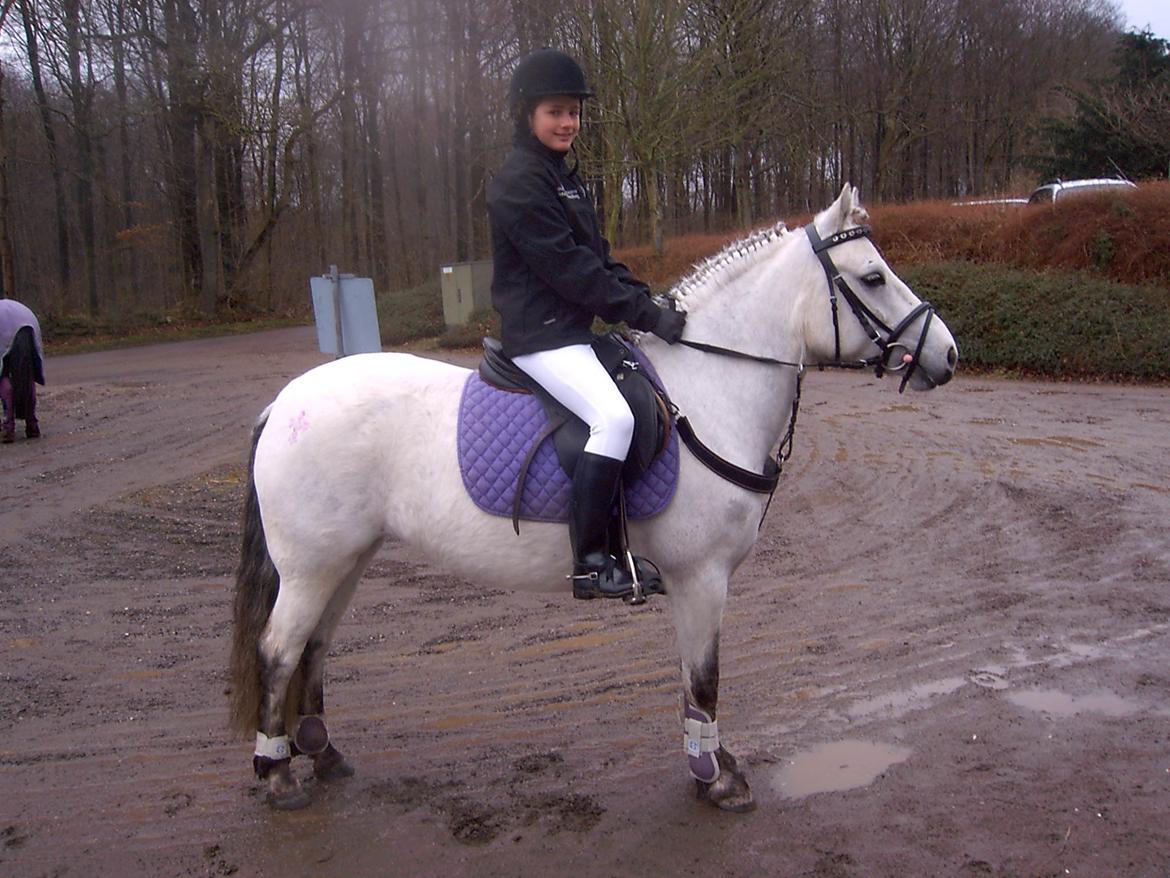 DSP A.J. Moscans Isabell billede 8