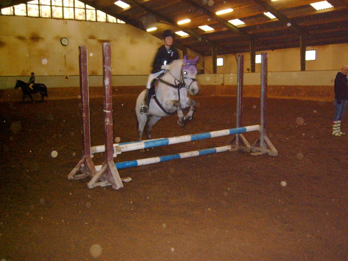 DSP A.J. Moscans Isabell billede 11