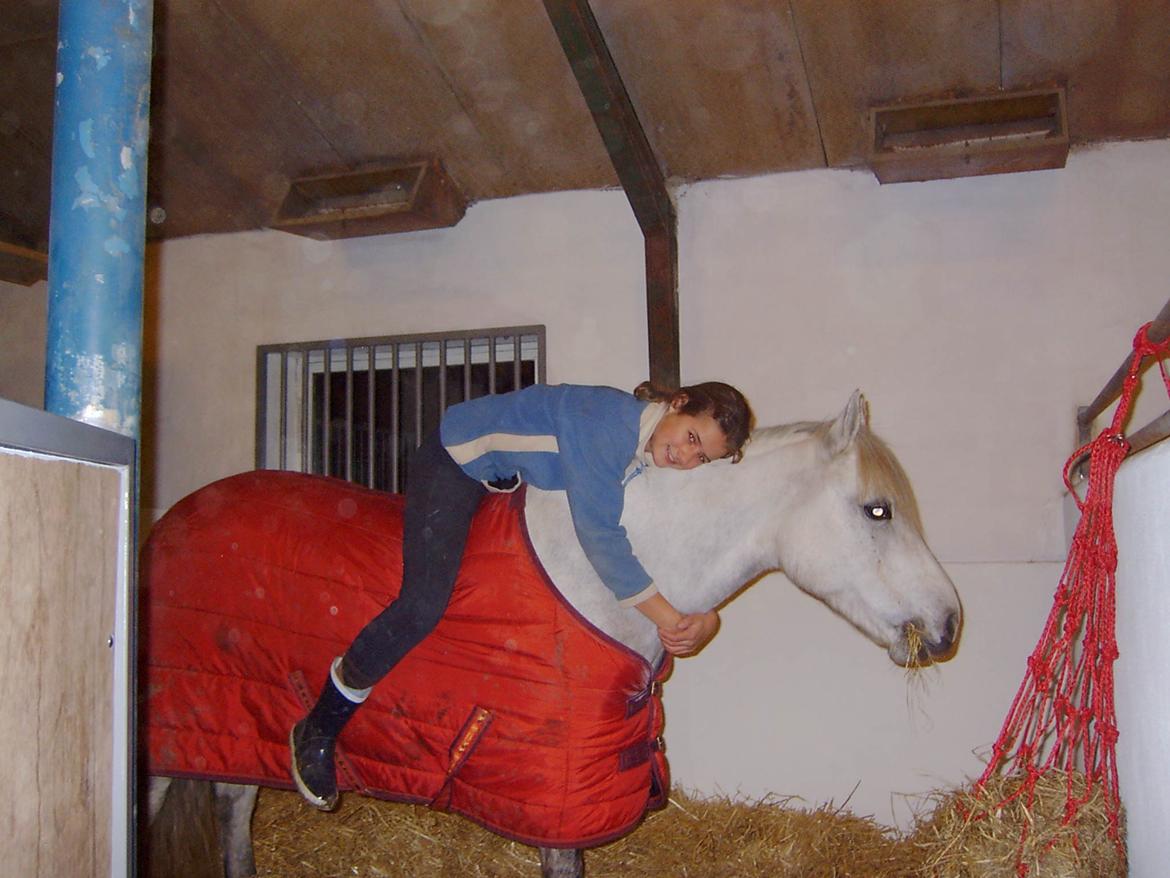 DSP A.J. Moscans Isabell billede 12