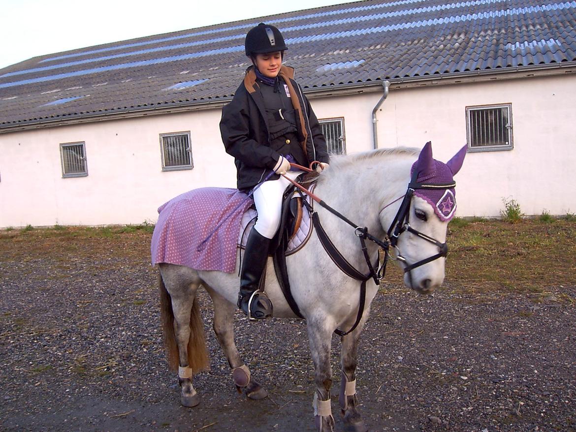 DSP A.J. Moscans Isabell billede 13