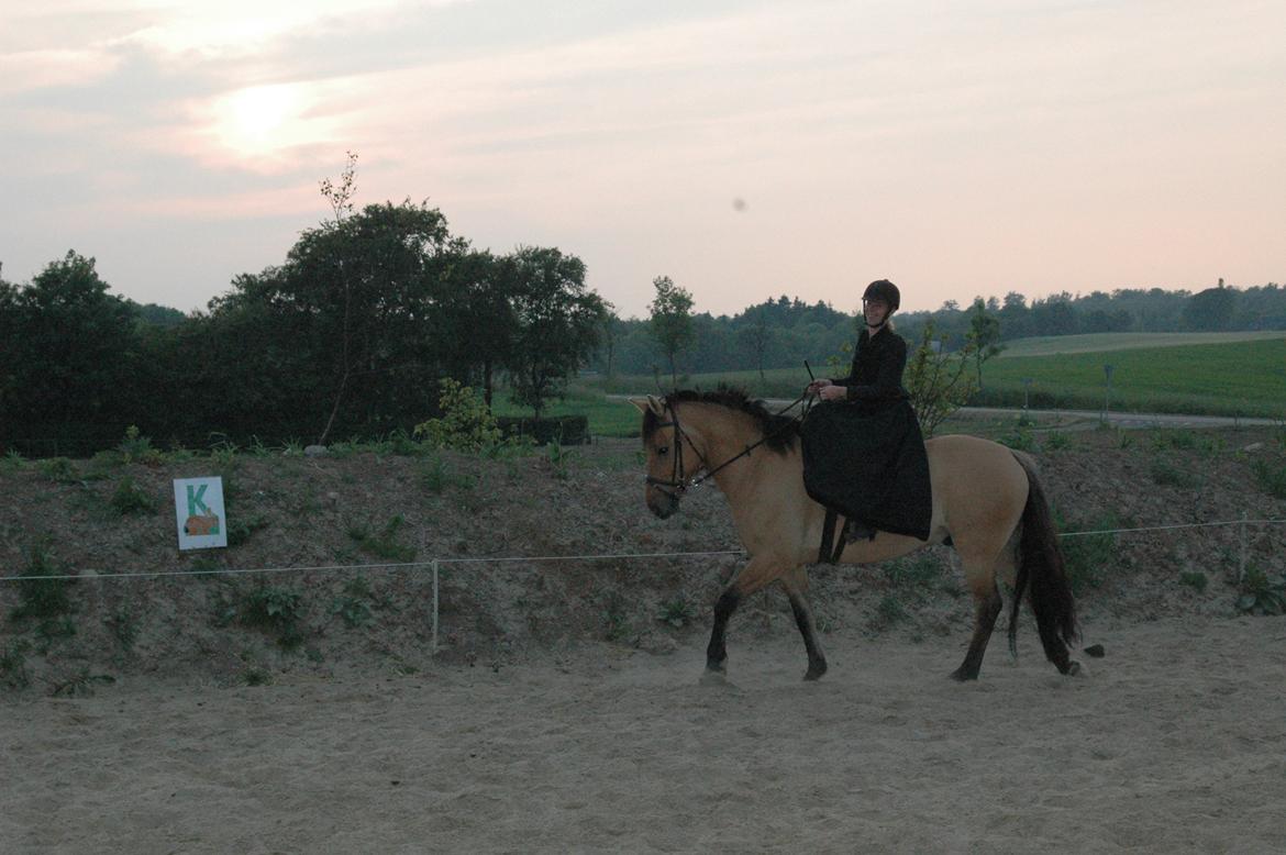 Anden særlig race Fjalar - min mor rider med damesadle billede 1