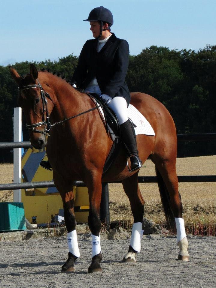 Oldenborg Okholms Caranya billede 2