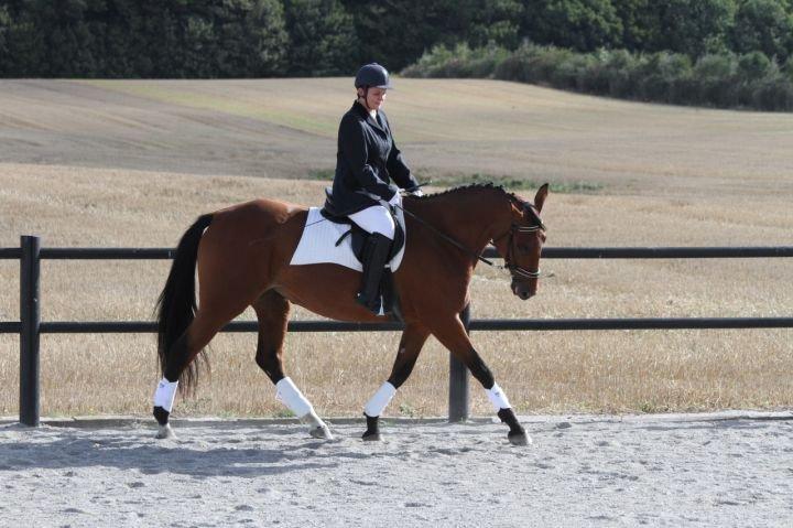 Oldenborg Okholms Caranya billede 4