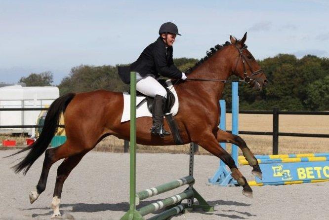 Oldenborg Okholms Caranya billede 19