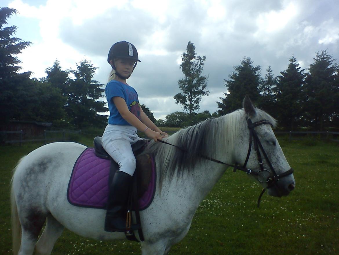 Anden særlig race skyttehuset´s paletti (popsen) - linea,s veninde er sødd<33. foto: mig(: billede 3