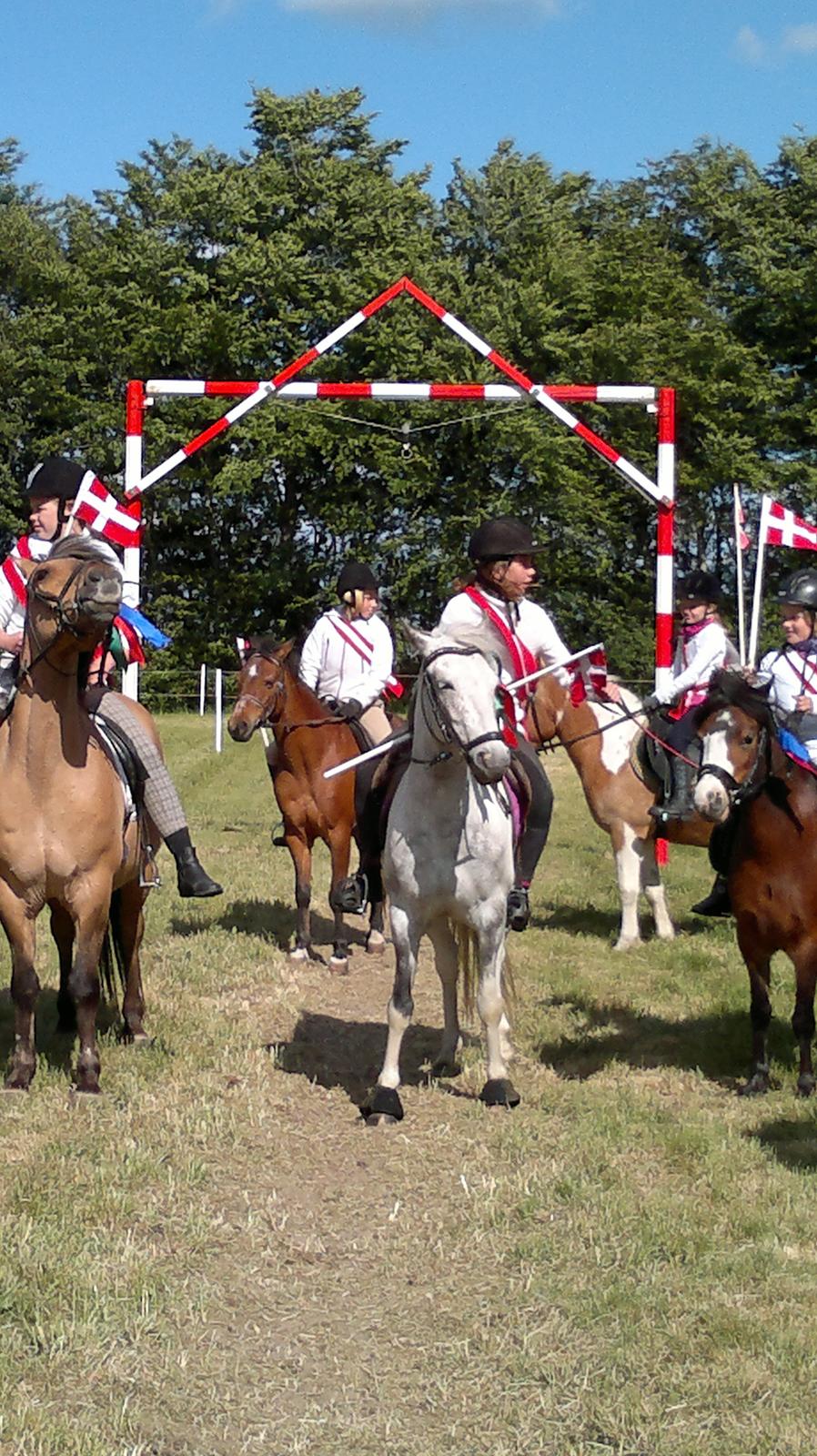 Anden særlig race skyttehuset´s paletti (popsen) - ringridning jaaa<33 foto: mor billede 4