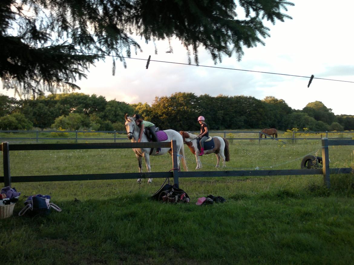 Anden særlig race skyttehuset´s paletti (popsen) - min nye ven er påbesøg med frida<33. foto: mor billede 5