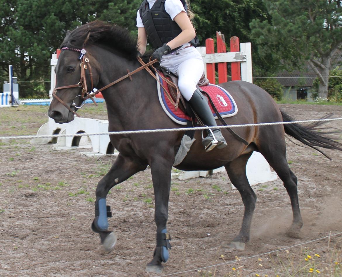 DSP Gitte Mc Queen billede 14