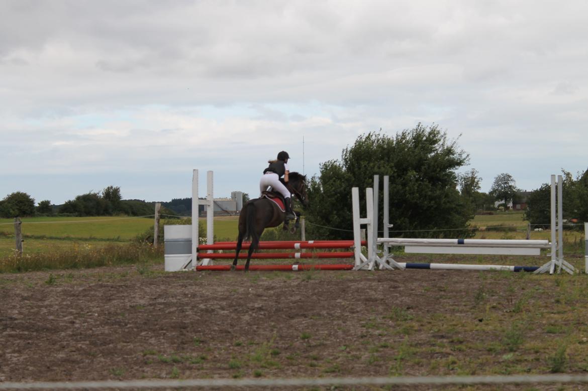 DSP Gitte Mc Queen billede 15