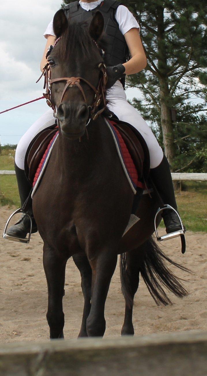 DSP Gitte Mc Queen billede 18