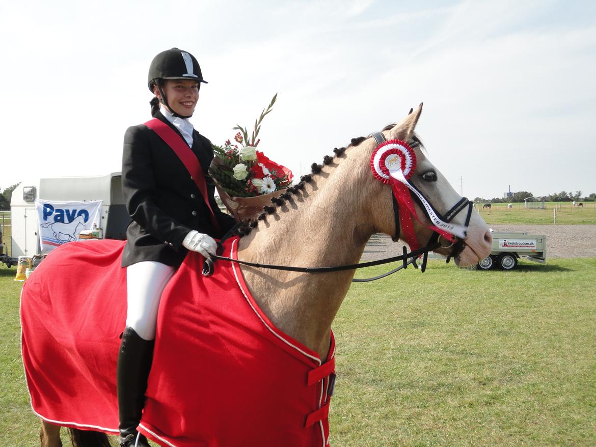DSP Gloria  B-Pony - Distrikts meter 2012 billede 1