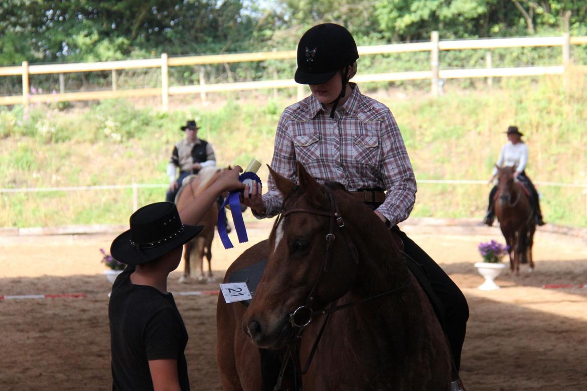 Paint Gambler's Harlequin billede 2