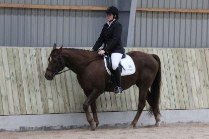 Paint Gambler's Harlequin billede 3