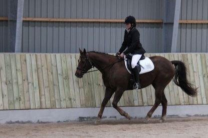 Paint Gambler's Harlequin billede 4