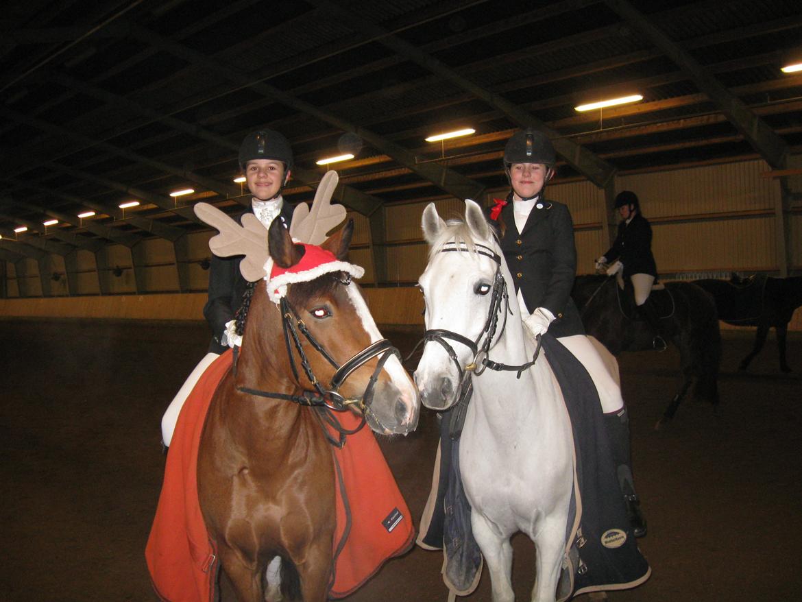 New Forest Lundemarksgårds Hero - Et billede fra 2010 med min dejlige pony og søster i sadlen på ham også mig ved siden af på min gamle part Kenzo. <33 billede 1