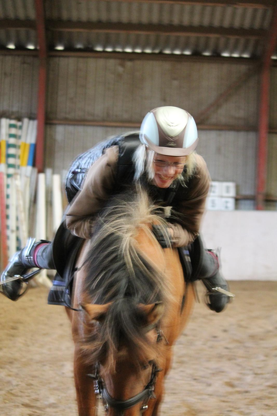 Anden særlig race Ærøs Kari [rider] - ja ind i mellem skal det jo kikse ikke Kari? <3 billede 7