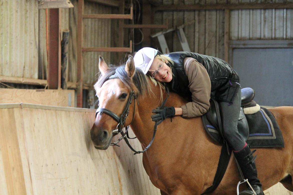 Anden særlig race Ærøs Kari [rider] - elsker dig over alt på jorden! <3 billede 9