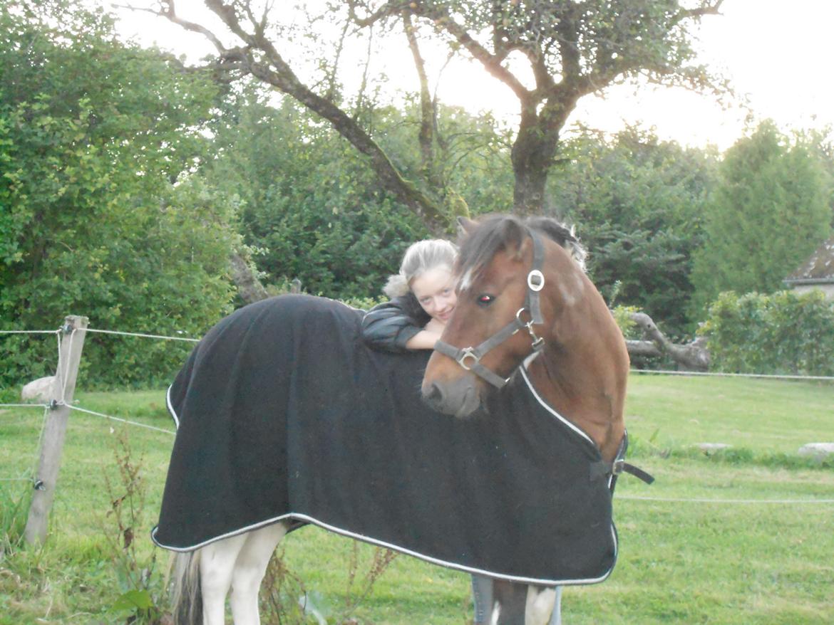 Pinto Mosegårdens Eddieson Fox (Baby) - Skath du betyder bare alt for mig! du er mit lys! :-)  billede 5