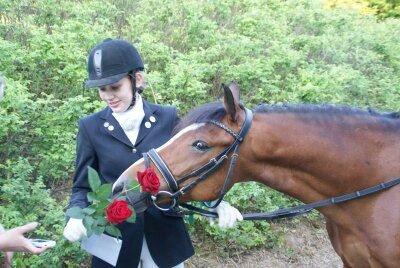 New Forest Lundemarksgårds Hero - MSR C-stævne 2011. Frida og Hero.  billede 13