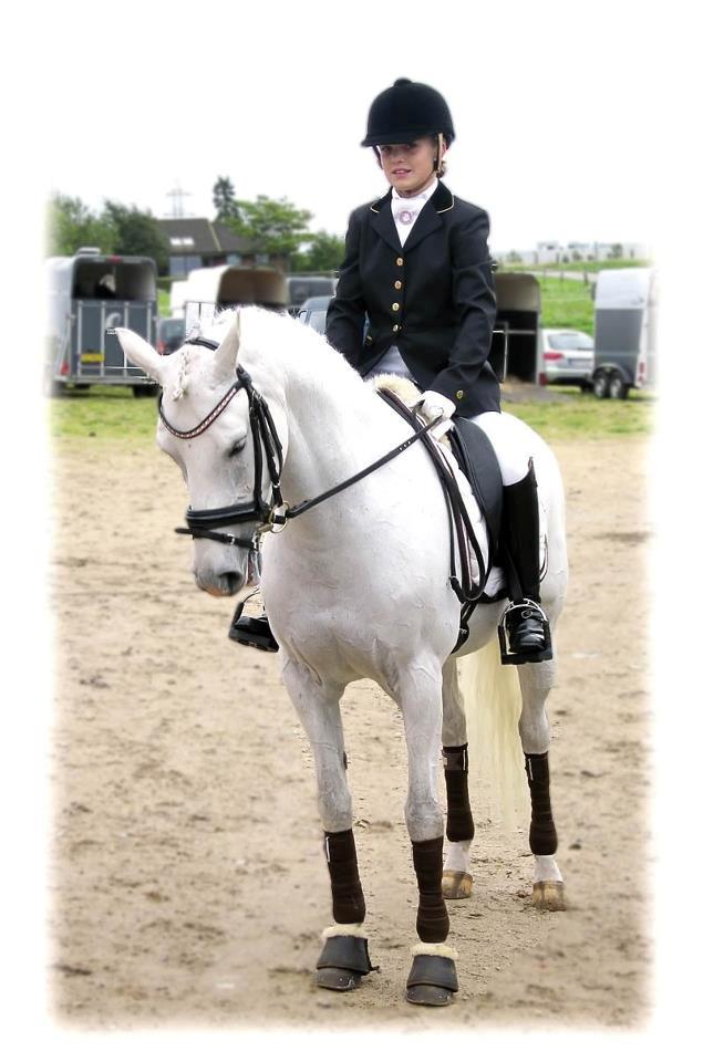 Hollandsk Sportspony Powergirl A-PONY billede 16