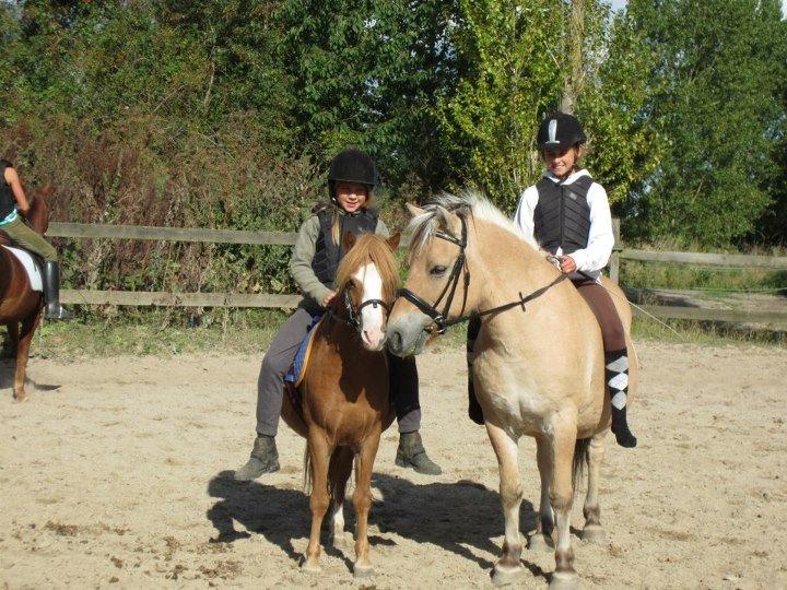 Welsh Mountain (sec A) Tarzan <3 billede 7