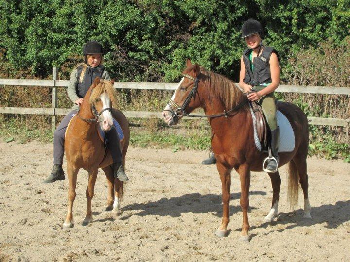 Welsh Mountain (sec A) Tarzan <3 billede 8