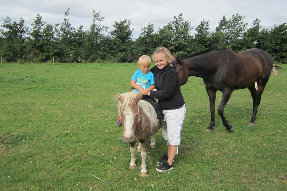 Anden særlig race Little Miss Layla billede 16