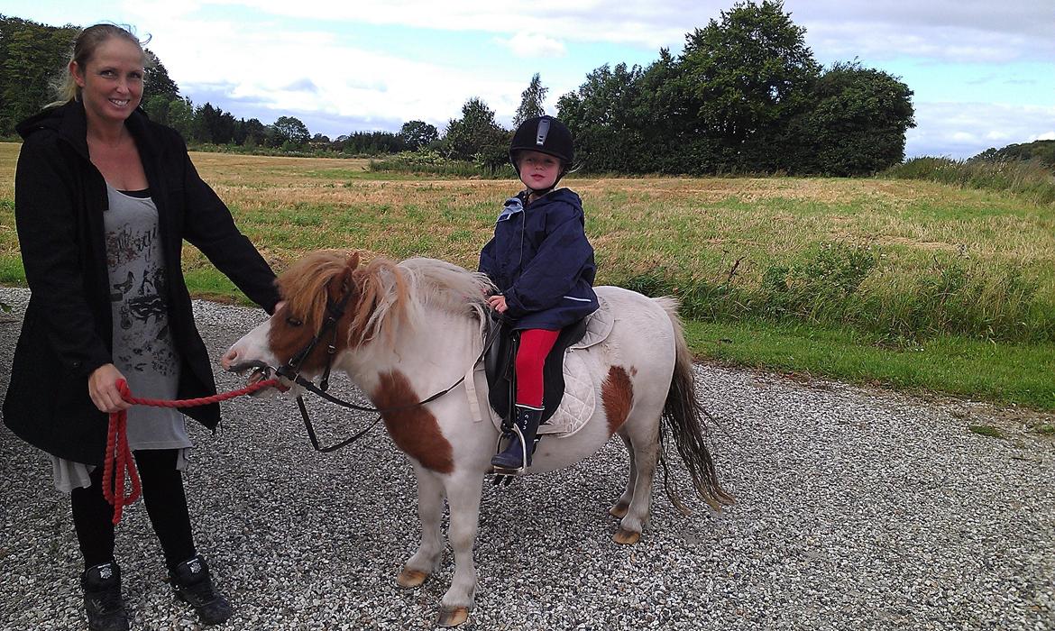 Shetlænder Buller - Min kusine som rider på Buller hver uge :) billede 19