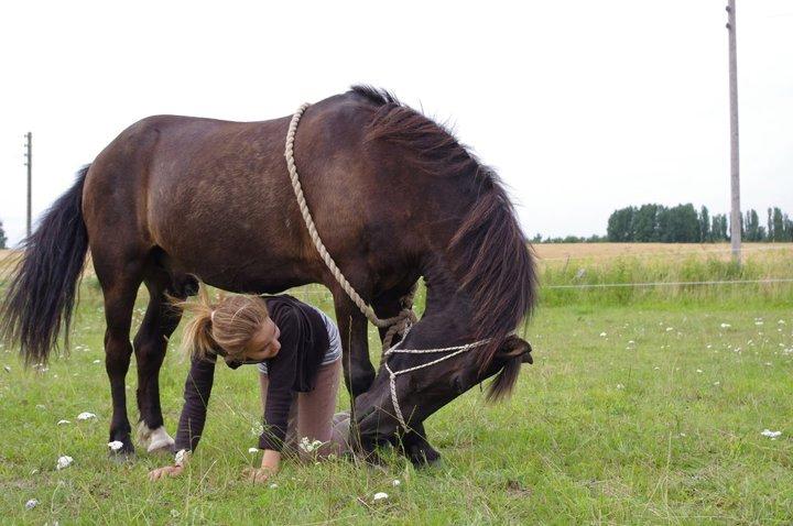 Anden særlig race | Blacky billede 1