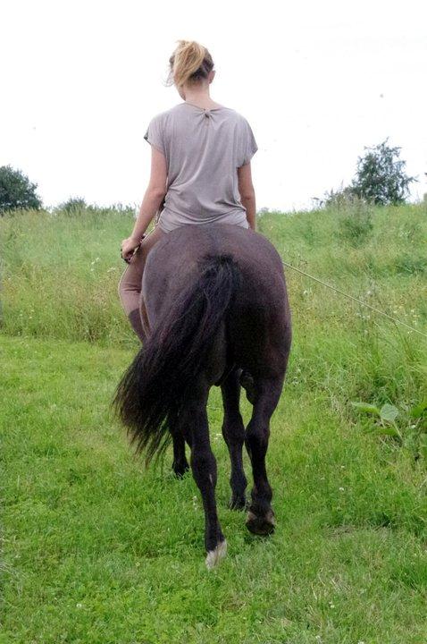 Anden særlig race | Blacky - Og det var slutningen på vores eventyr. Jeg elsker dig. billede 20