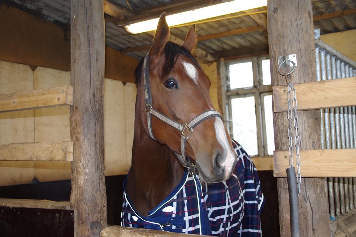 Oldenborg Rosenhavens Flora billede 2