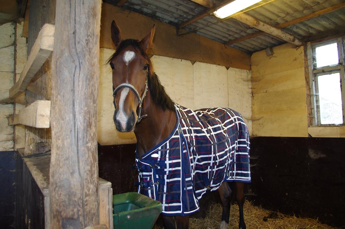 Oldenborg Rosenhavens Flora billede 3