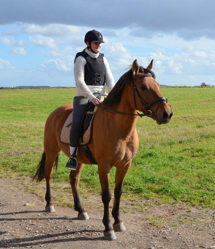 Anden særlig race Tequiro Sunset | Tio | <3 billede 9