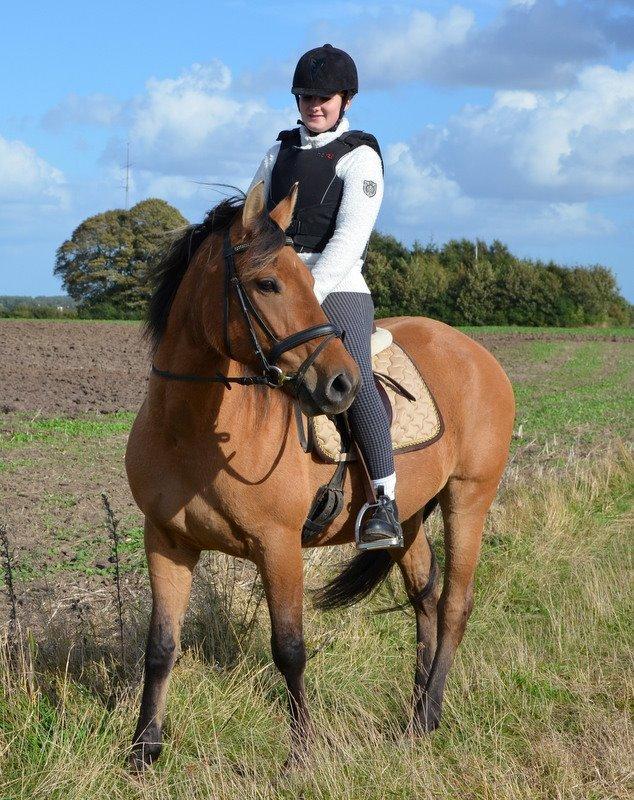 Anden særlig race Tequiro Sunset | Tio | <3 billede 11