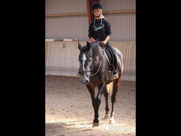Anden særlig race Cortes |Min bedre halvdel| <3 - True friends are always together in the spirit.“ <3 billede 2