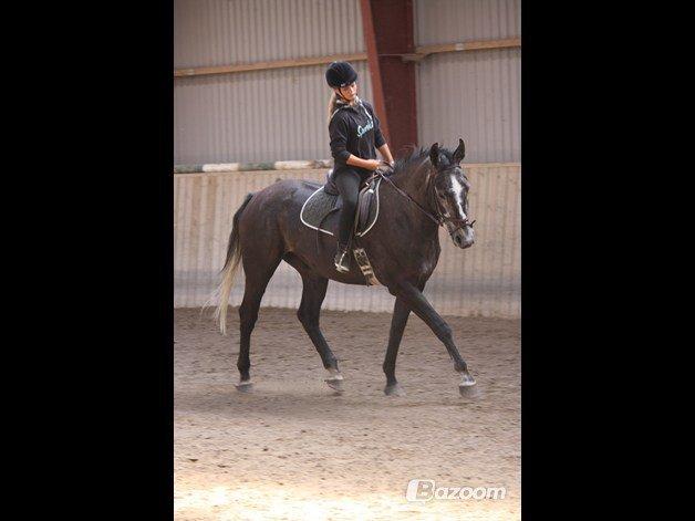 Anden særlig race Cortes |Min bedre halvdel| <3 - There comes a point in every riders time, when she wonders if it´s all worth it, then one look at the horse and she realizes - that is!  billede 4