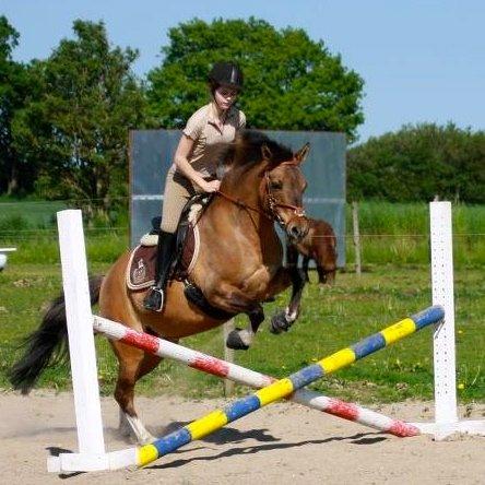 Anden særlig race Flicka <3 - Velkommen til Flicka´s profil. 

Det bedste billede jeg har af mig og Flicka <3 billede 1